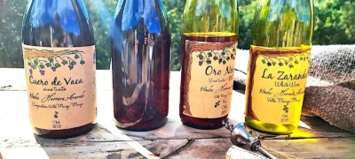 Vinos de Herrera-Alvarado. Foto, Mariana Martínez