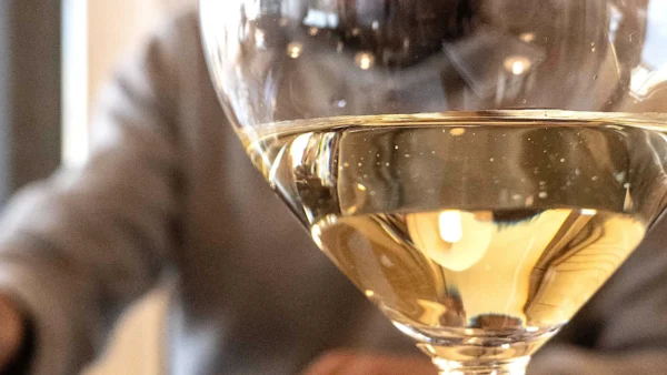 Vinos blancos en Zuccardi.