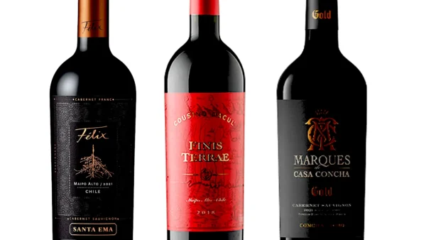 tres vinos del Maipo
