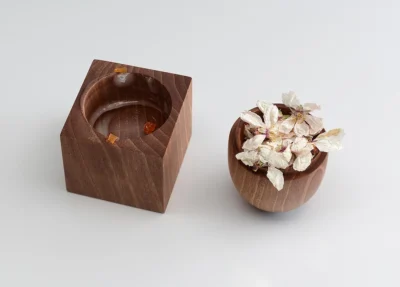 Mugaritz y la sopa de pelo 1
