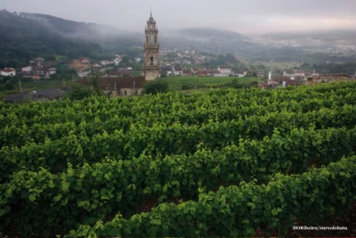 De vinos por Galicia 3