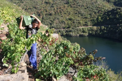 De vinos por Galicia 2