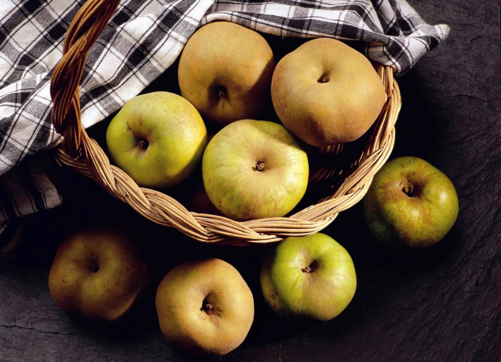 DOP Manzana reineta del Bierzo