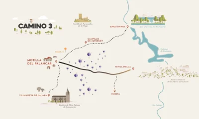 El rastro manchego del oro de las flores  6