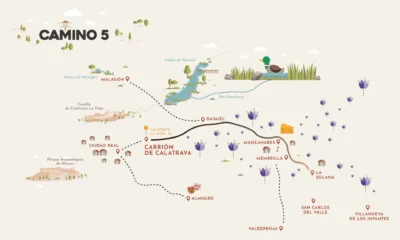 El rastro manchego del oro de las flores  8