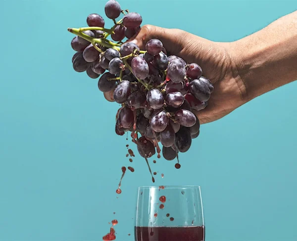 vinos naturales.