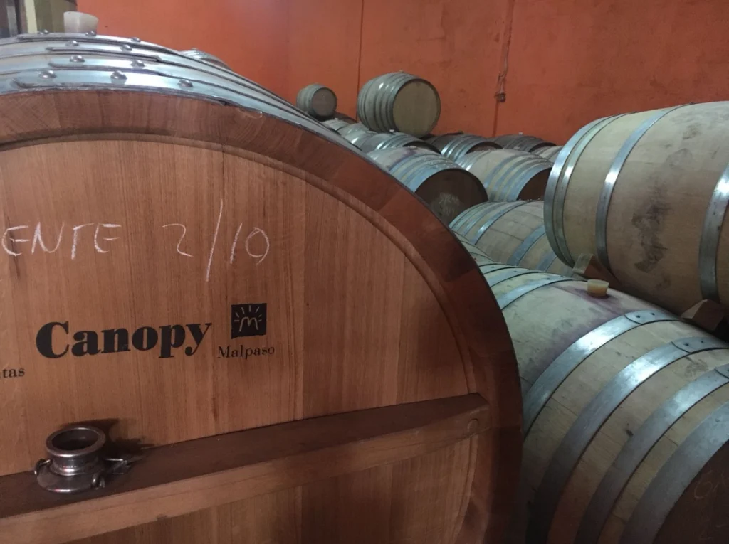 Vinos de Méntrida, luchando contra la estereotipos 2