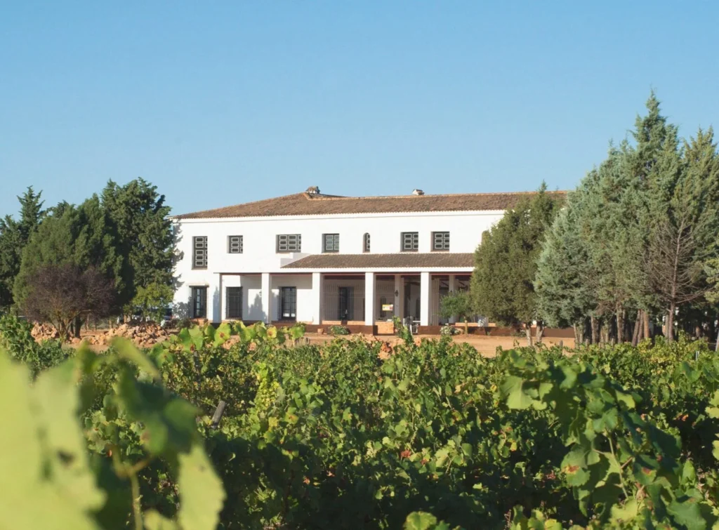 Los desafíos de los vinos de pago en Castilla-La Mancha 1