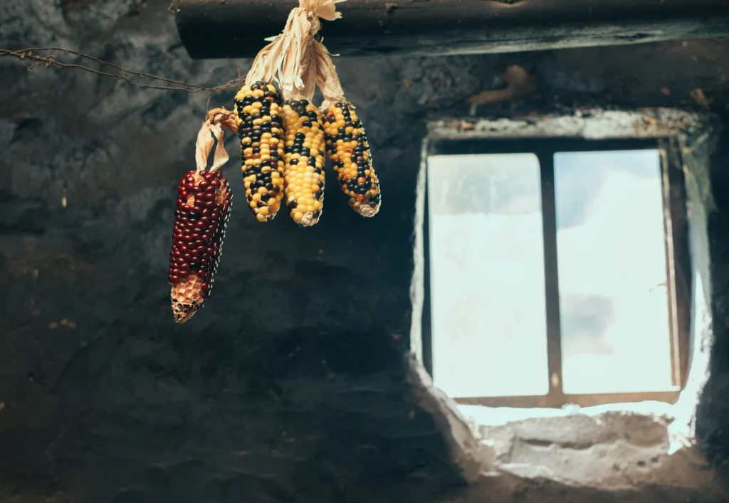 Cocinas de Boyacá; Colombia pa’ sumercé 2