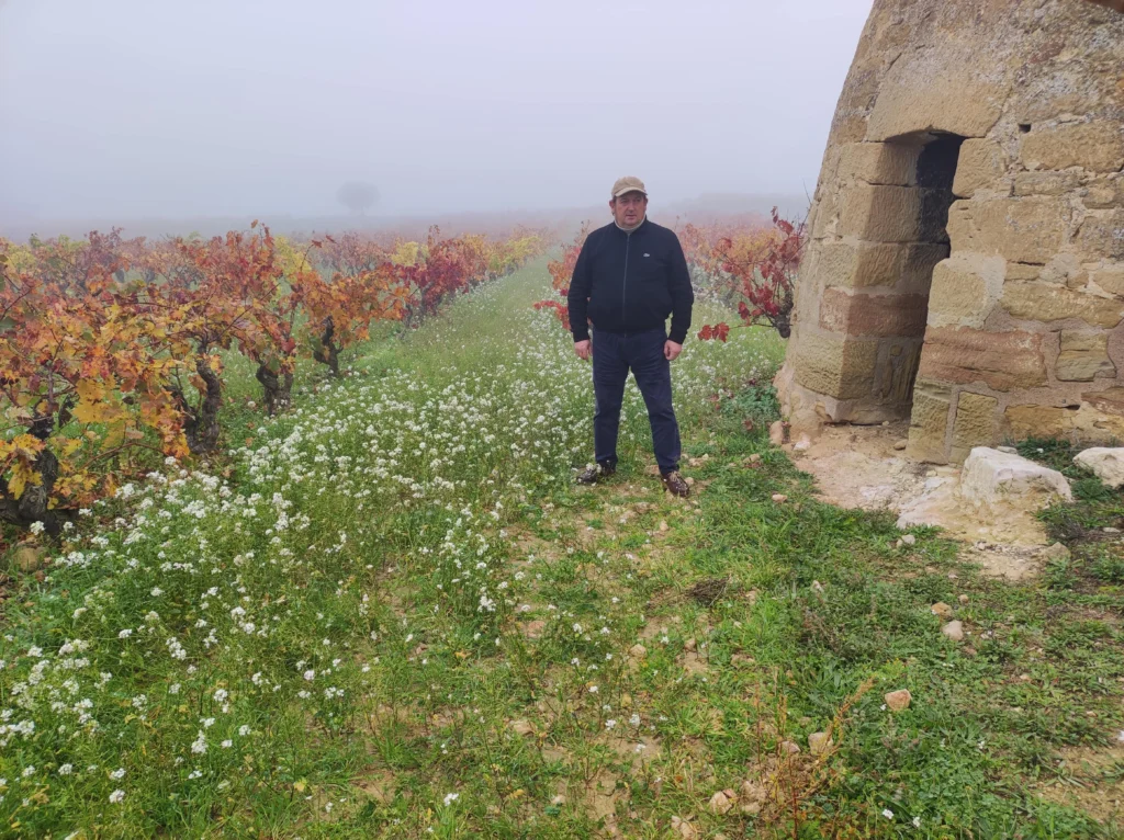 Viticultura aliada con el cambio climático 0