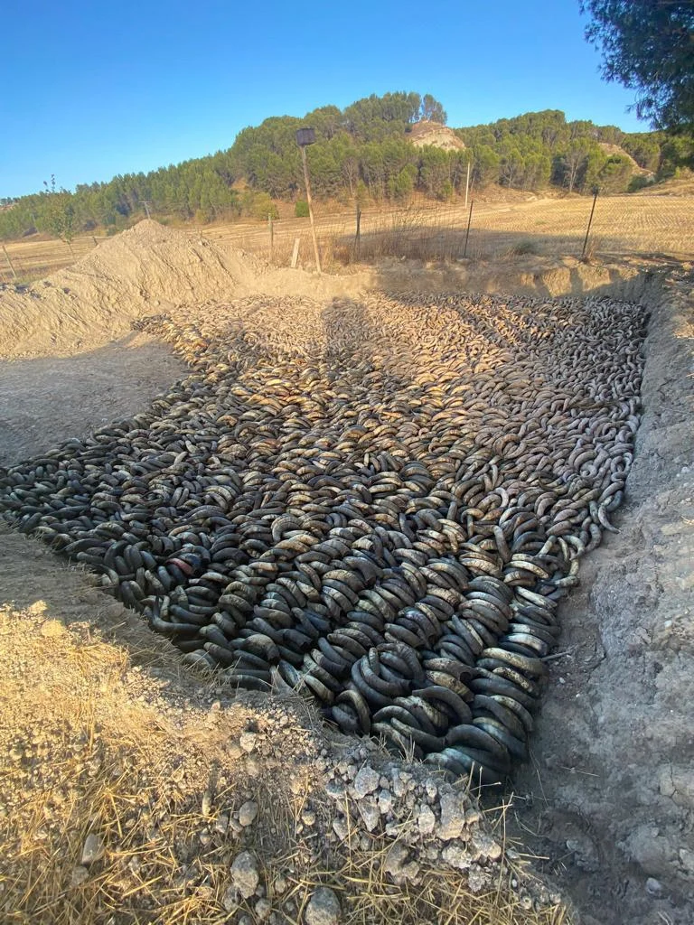 Viticultura aliada con el cambio climático 1
