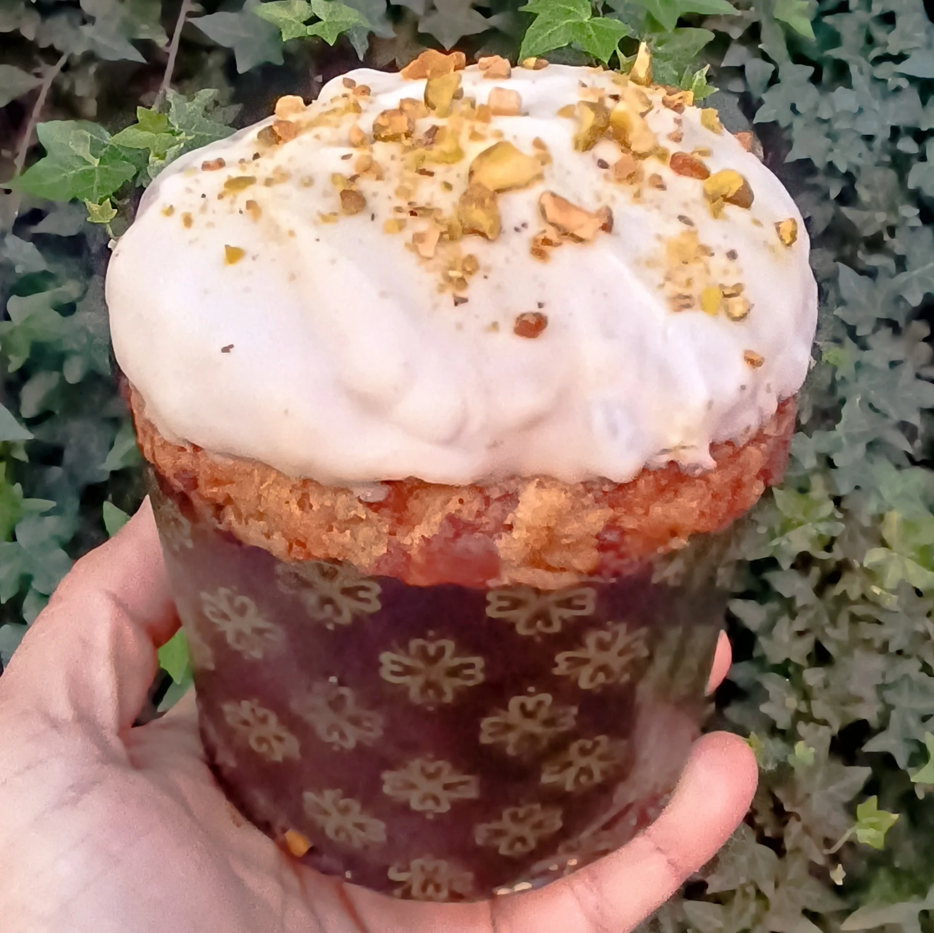 Seis panettones colombianos y cuatro maridajes para disfrutarlos 6