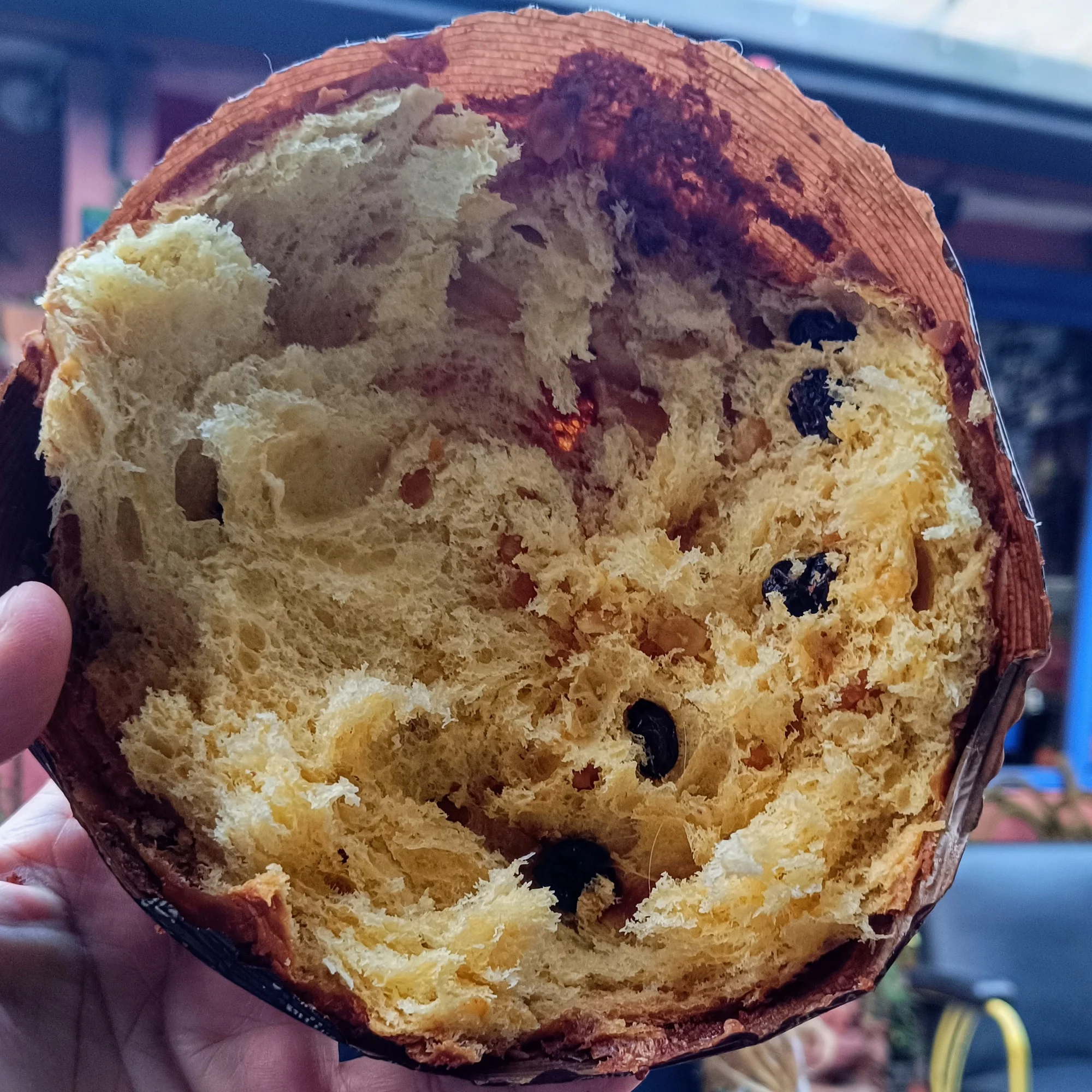 Seis panettones colombianos y cuatro maridajes para disfrutarlos 1