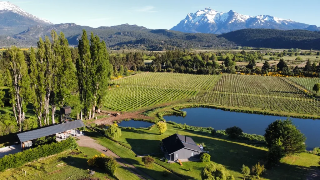 Trevelin, los vinos más australes de Argentina 0