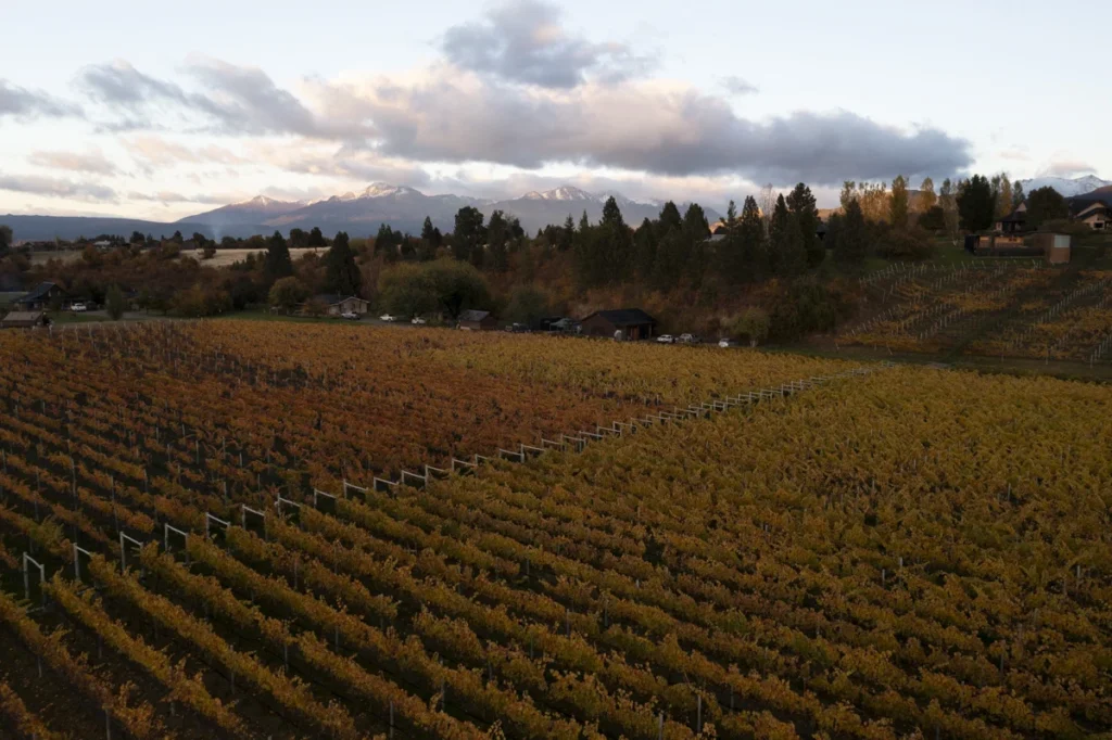 Trevelin, los vinos más australes de Argentina 5