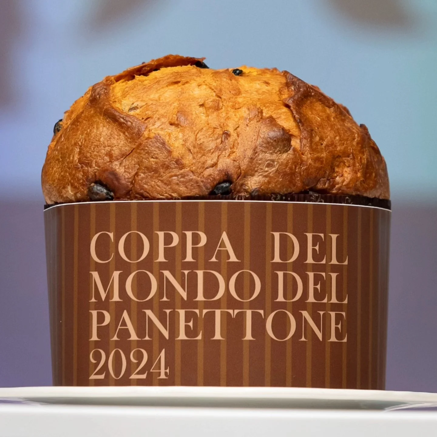 Seis panettones colombianos y cuatro maridajes para disfrutarlos 0