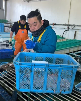 Los pescados del señor Hasegawa 0