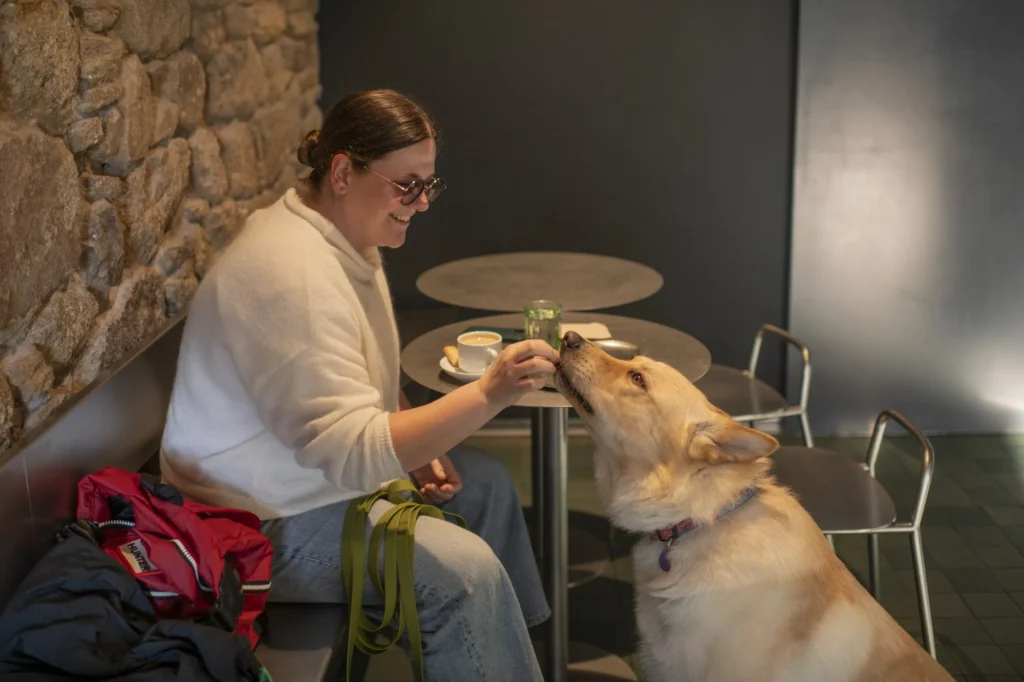 En A Café las mascotas son bienvenidas