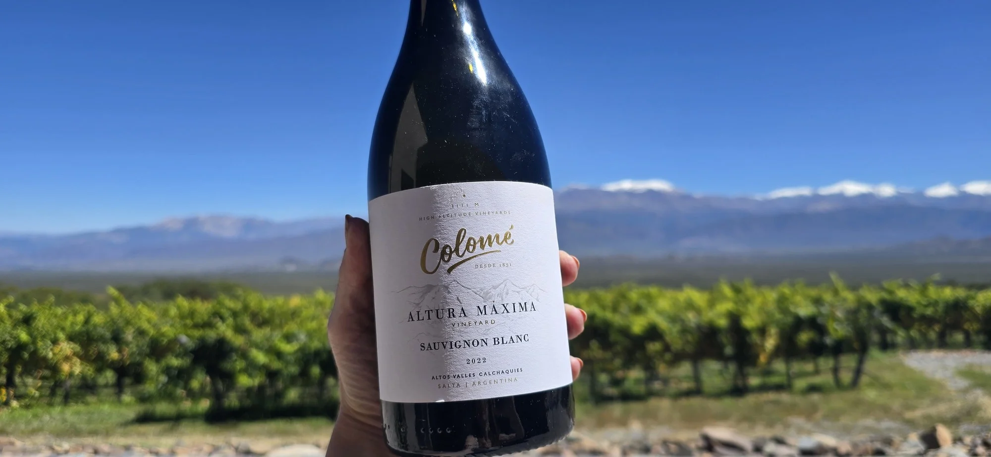 La primera bodega argentina: Colomé 3