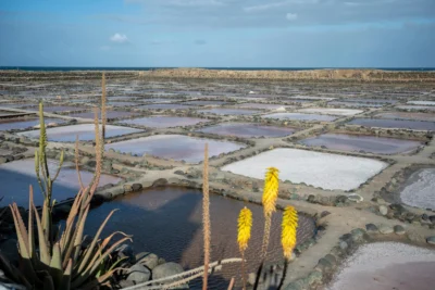Los hermanos que mantienen vivo el oficio de salinero en Gran Canaria 0