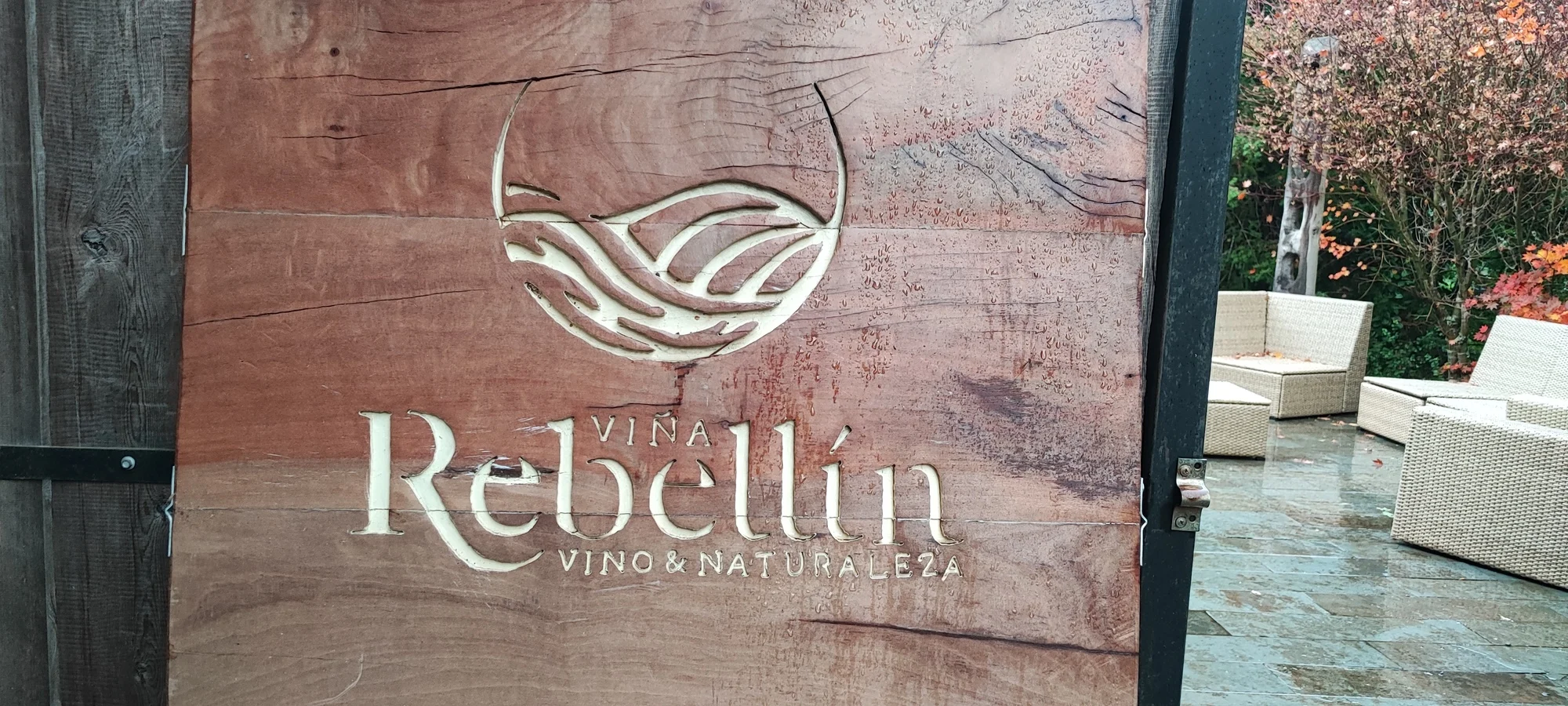 Viña Rebellin, hacer vino antes los 80 1
