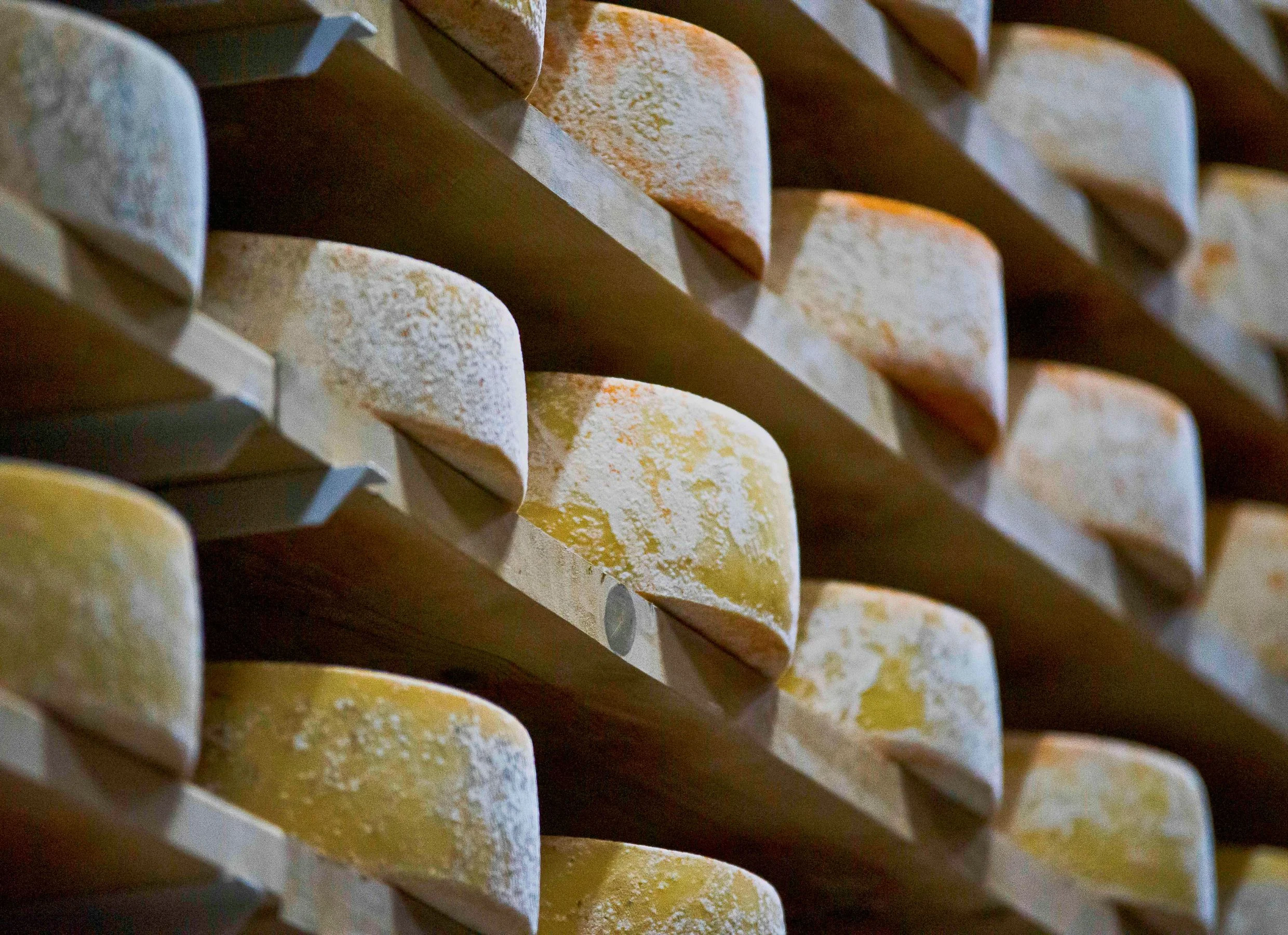 La revolución del queso curado gallego