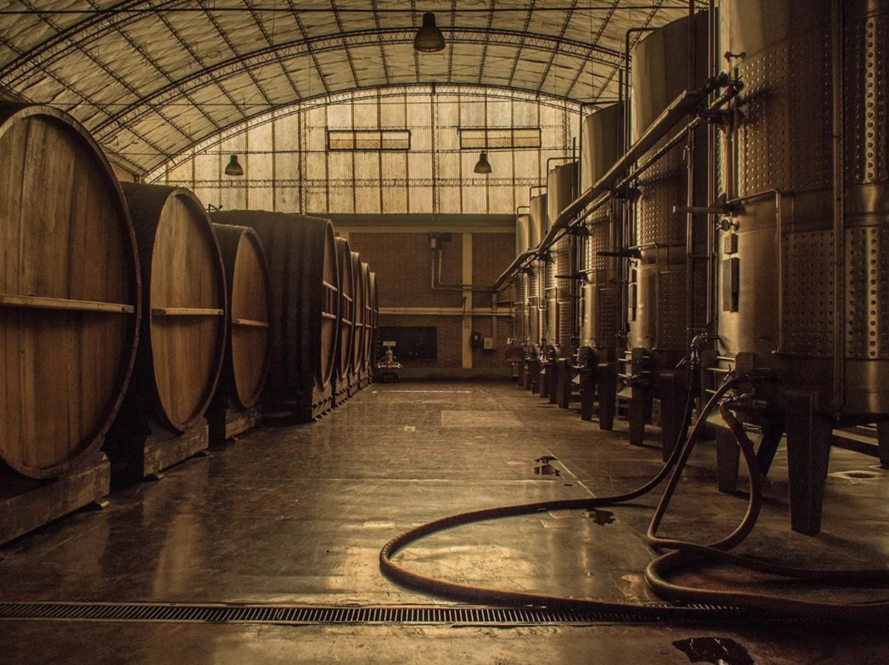 Bodegas López: vinos que hablan argentino 1
