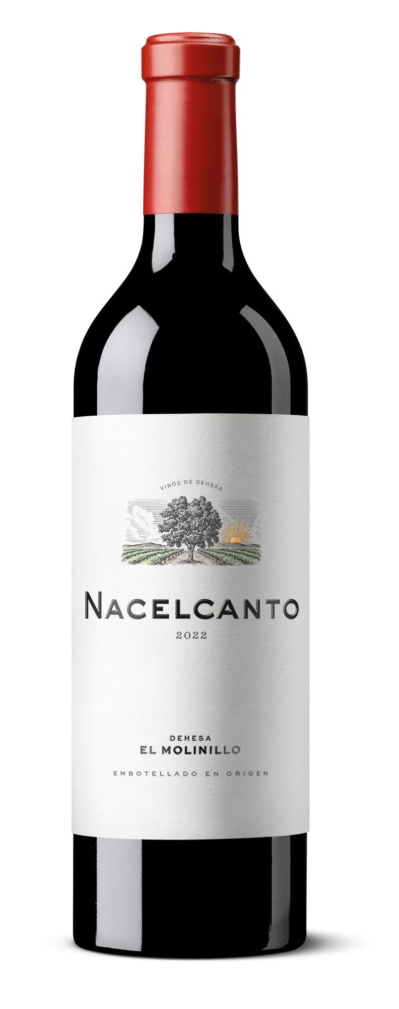 Vinos y aceites de dehesa 3