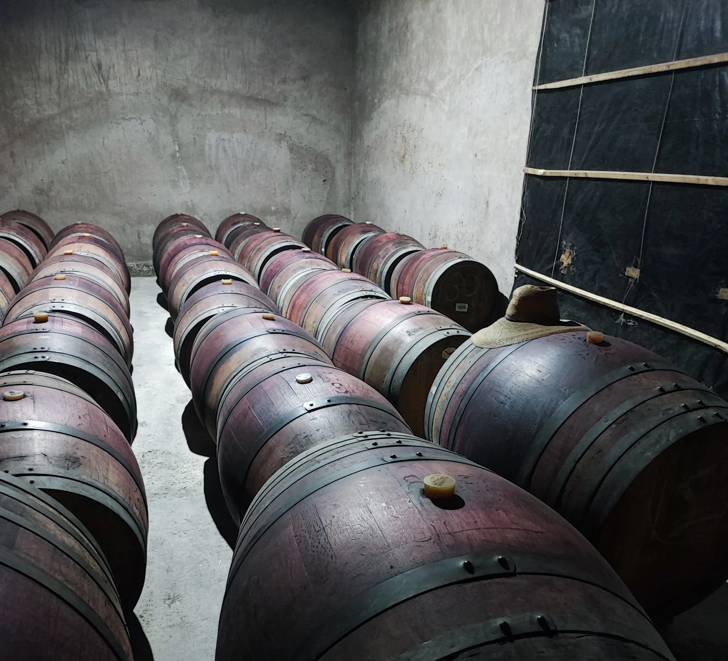Bodega de barricas