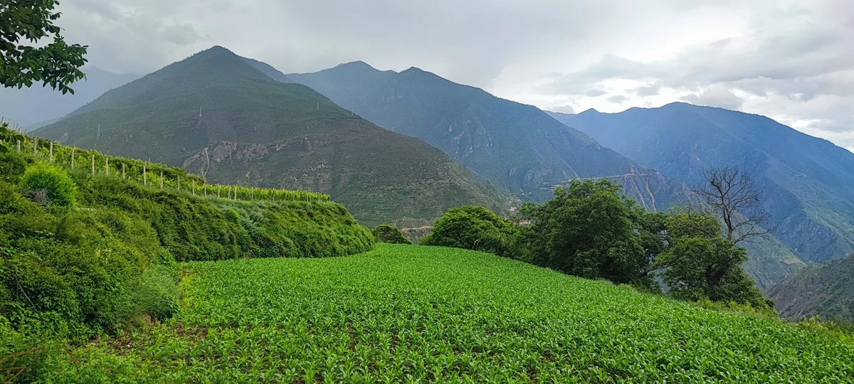 Patrick Valette, un chileno pionero del vino en el Himalaya 0