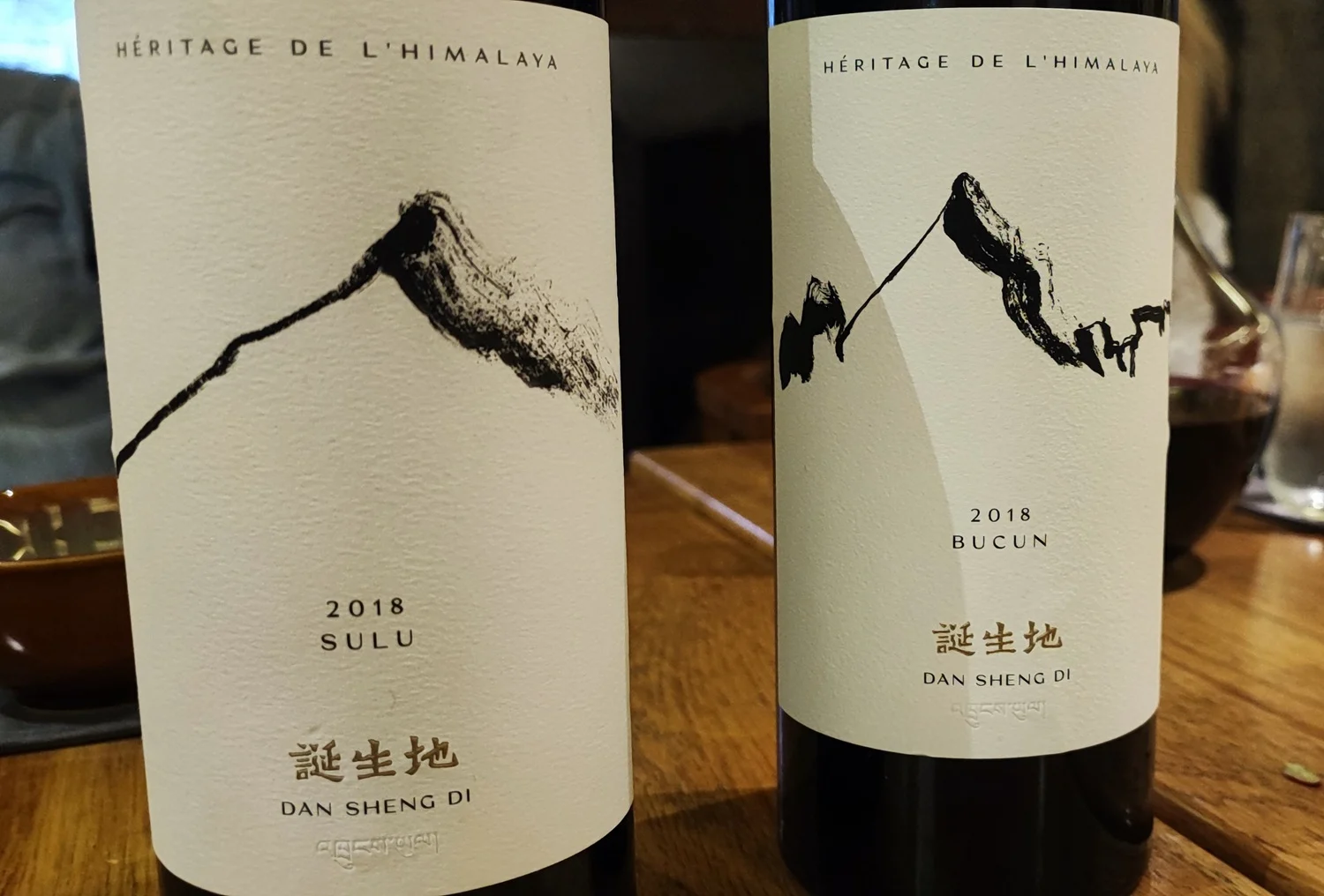 Patrick Valette, un chileno pionero del vino en el Himalaya 3