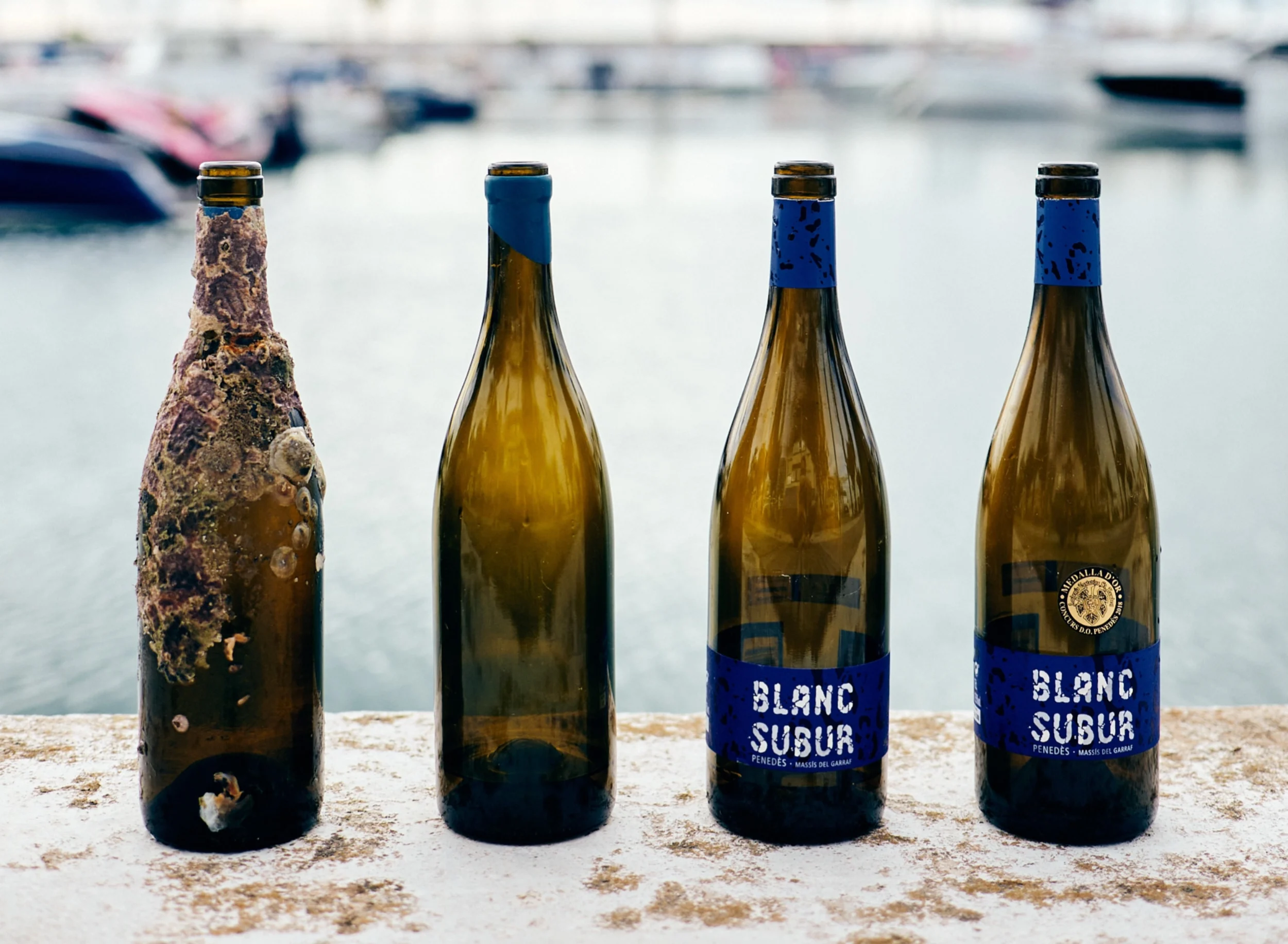 El renacer de la Malvasia de Sitges 5