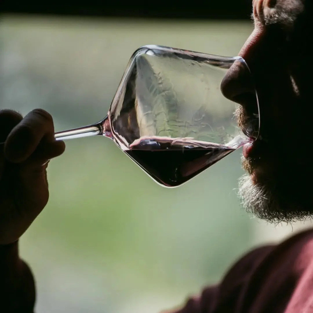 Pinot Noir argentino: diversidad, frescura y carácter 1