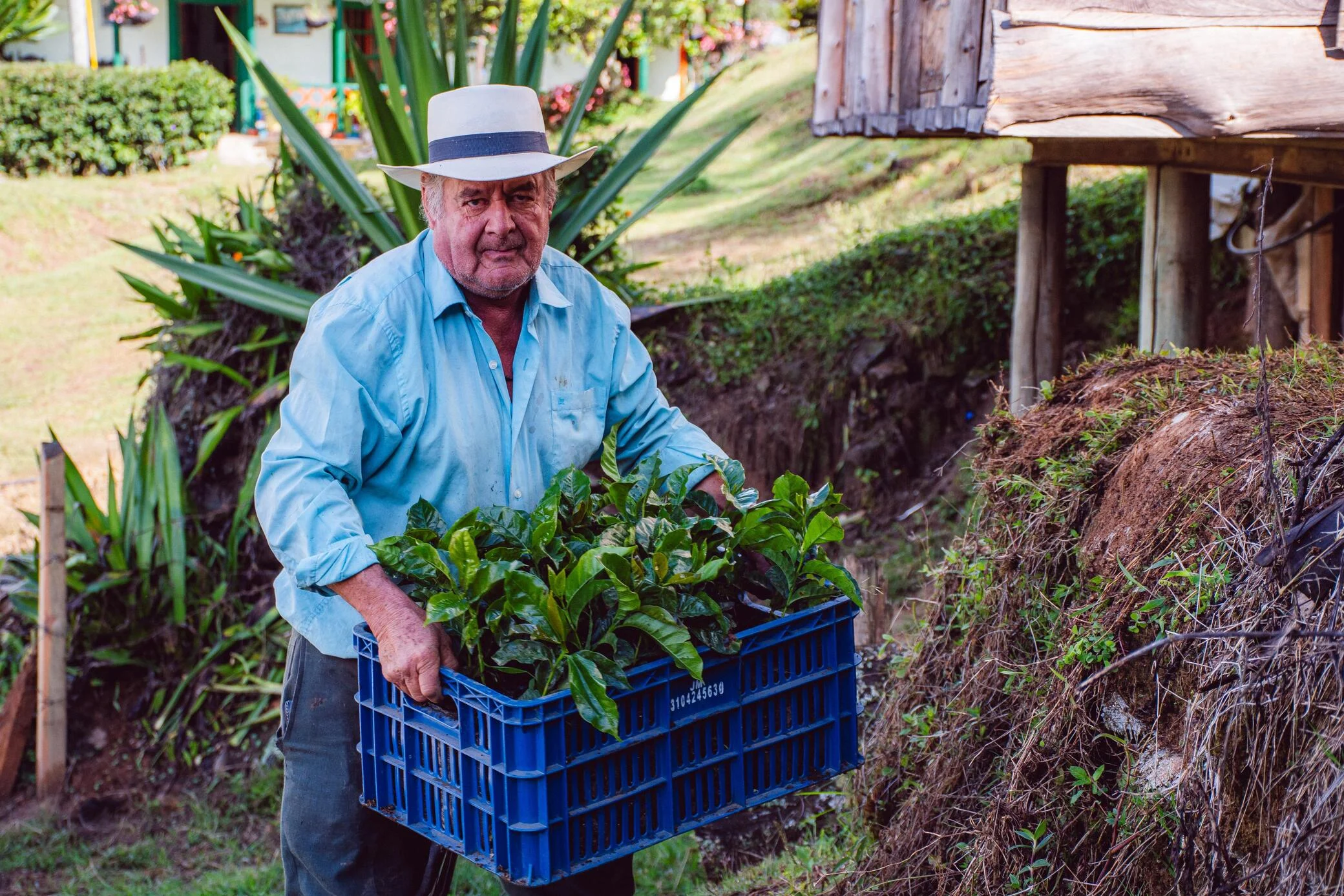 El Retiro; 210 micro productores colombianos de café unidos por la calidad 1