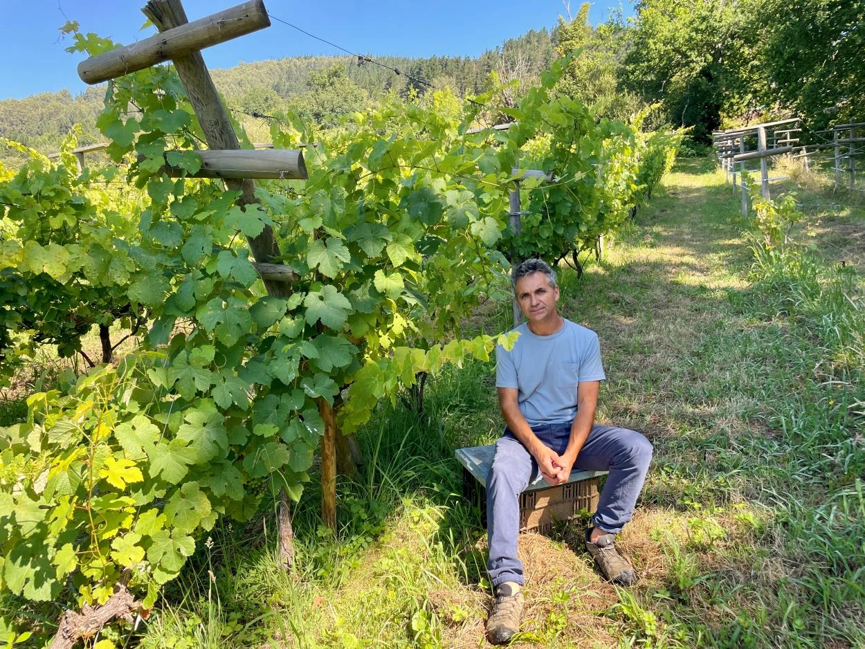 Alfredo Egia / «Bebo cerveza; el vino de los bares no me sienta bien» 0