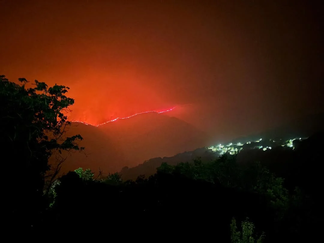 ¿Cómo han afectado los incendios al vino? 1
