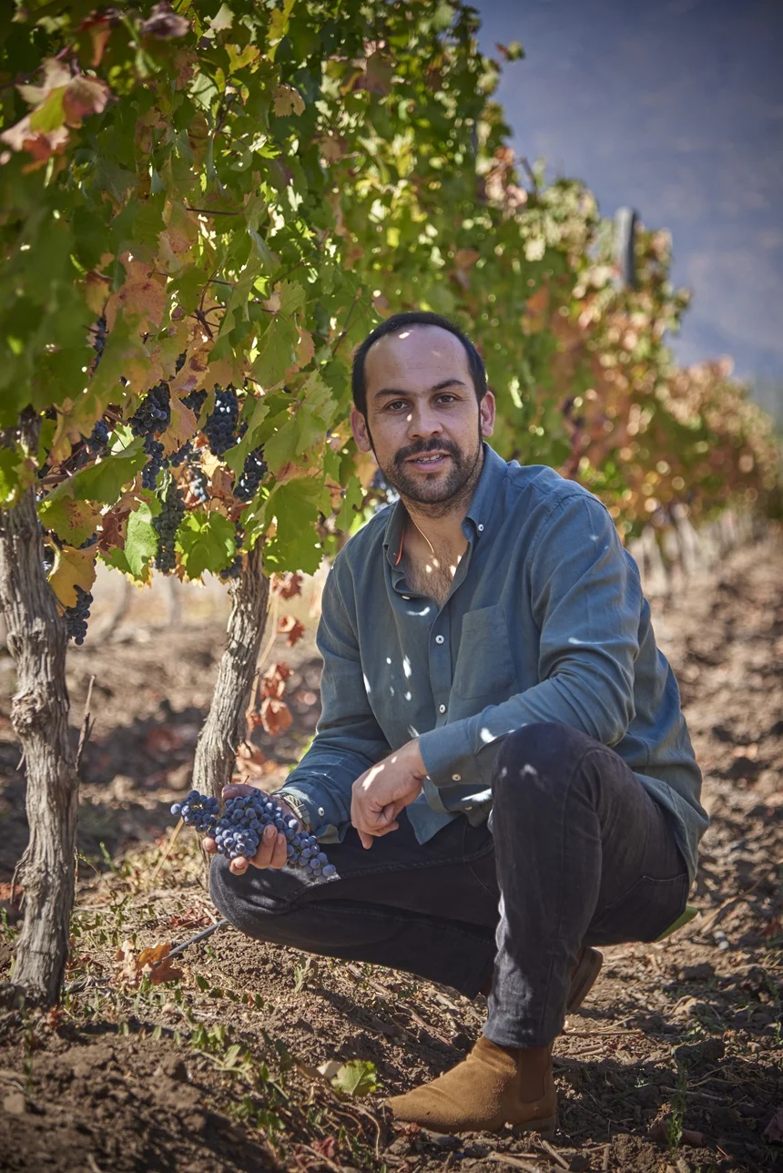 Carmenere es Casa Silva, y Casa Silva es Carmenere 0