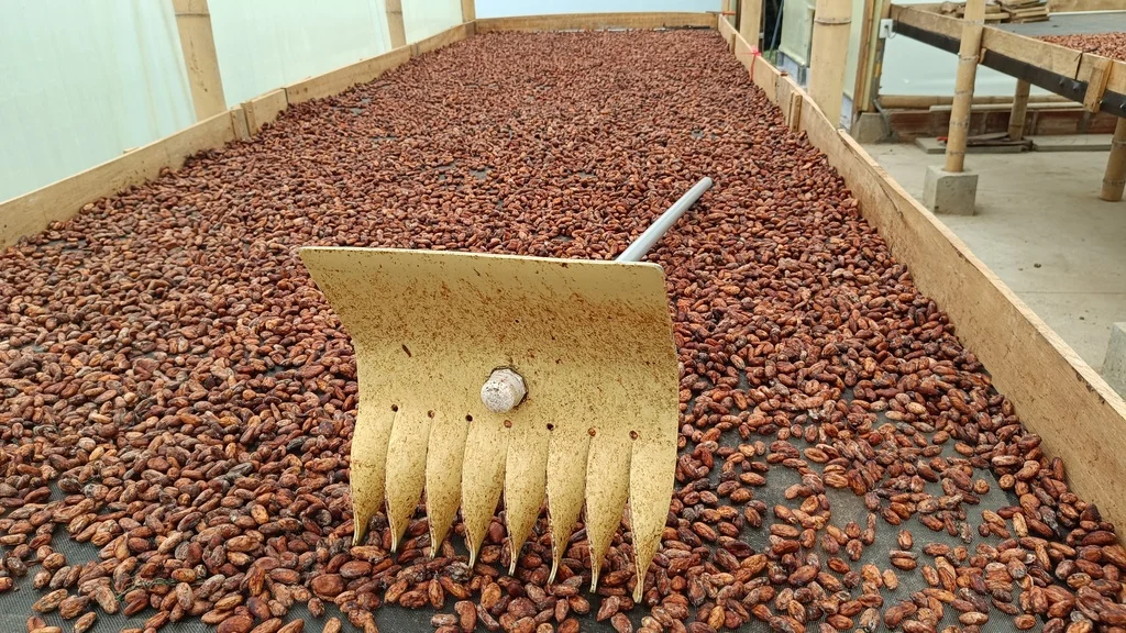Theobroma, el restaurante colombiano con corazón de cacao 3