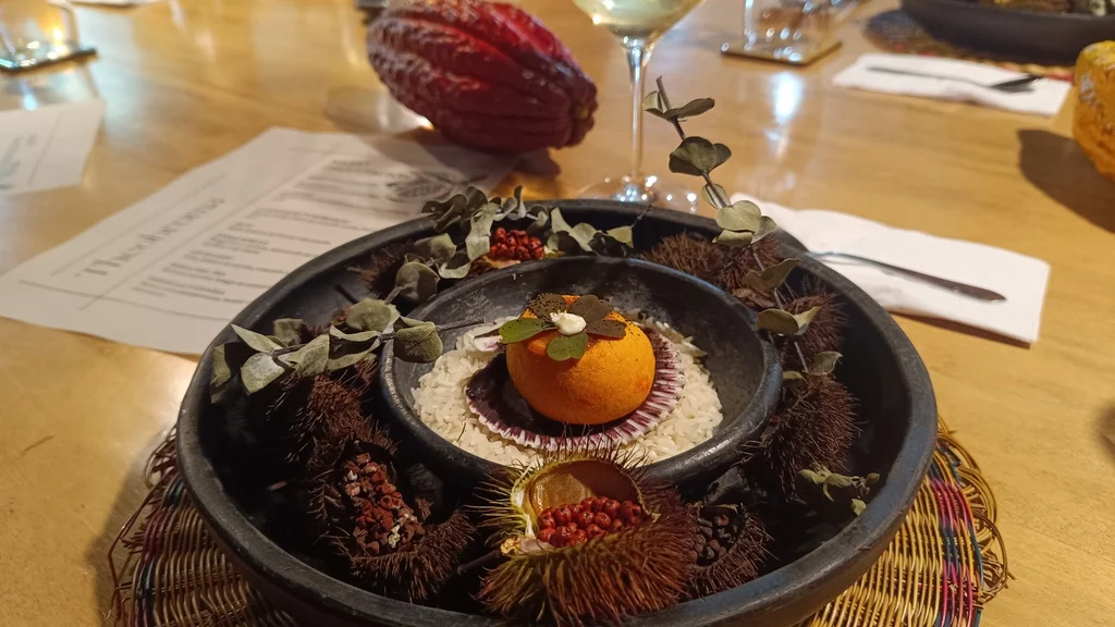 Theobroma, el restaurante colombiano con corazón de cacao 2