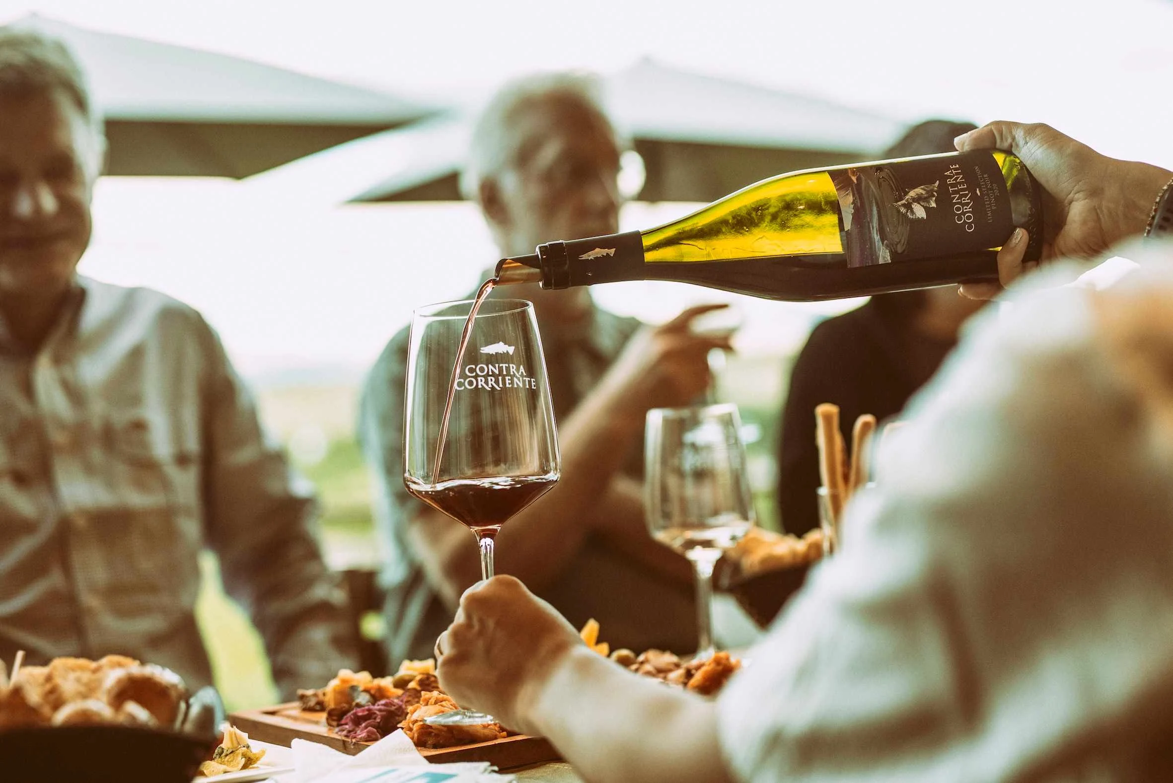 Sofía Elena: una enóloga en el fin del mundo 3