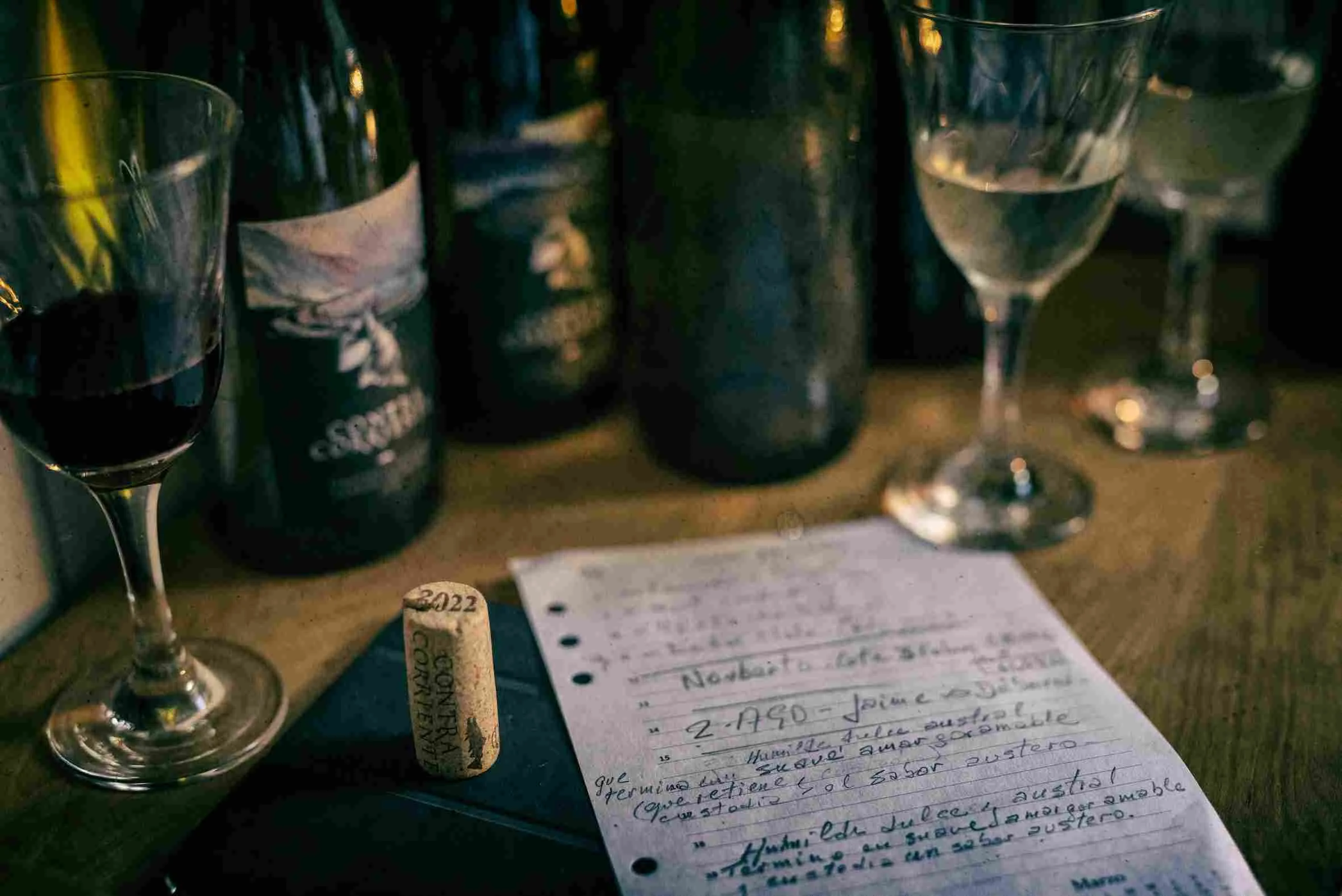 Sofía Elena: una enóloga en el fin del mundo 4