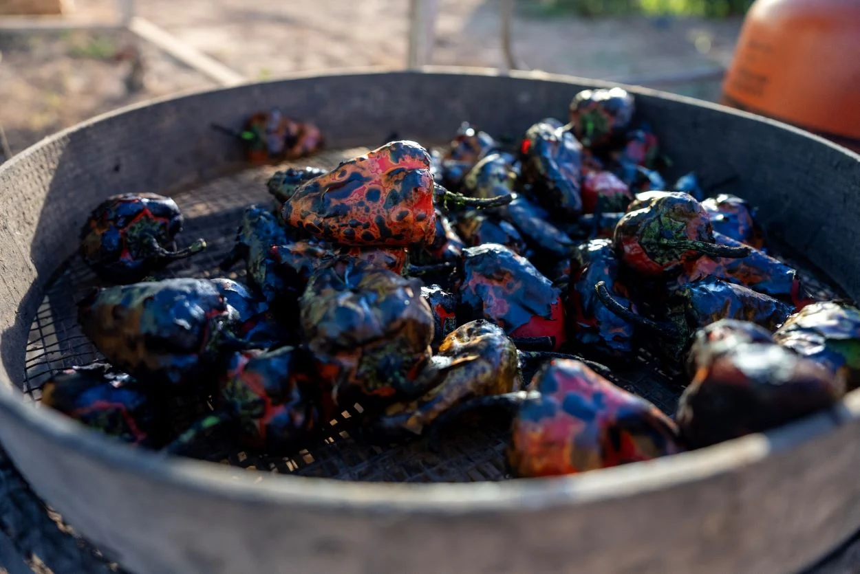 Navarra enseña lo que vale un pimiento 2