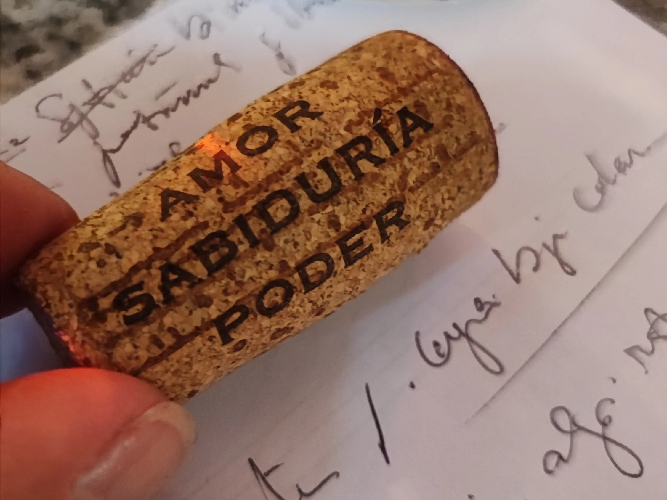 César Lupo y la quinta dimensión del vino 1