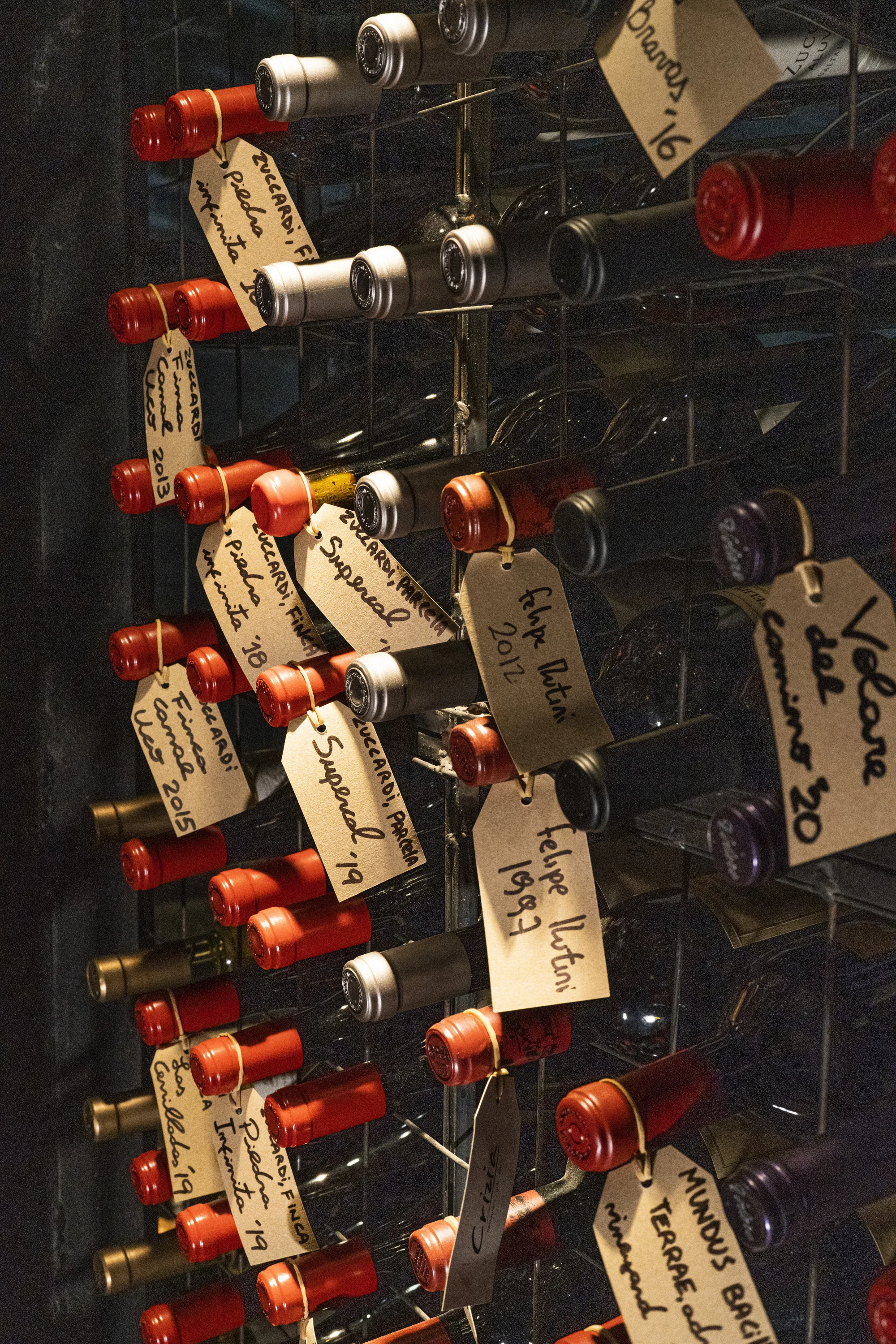 El vino y el mar, I: Crizia 0