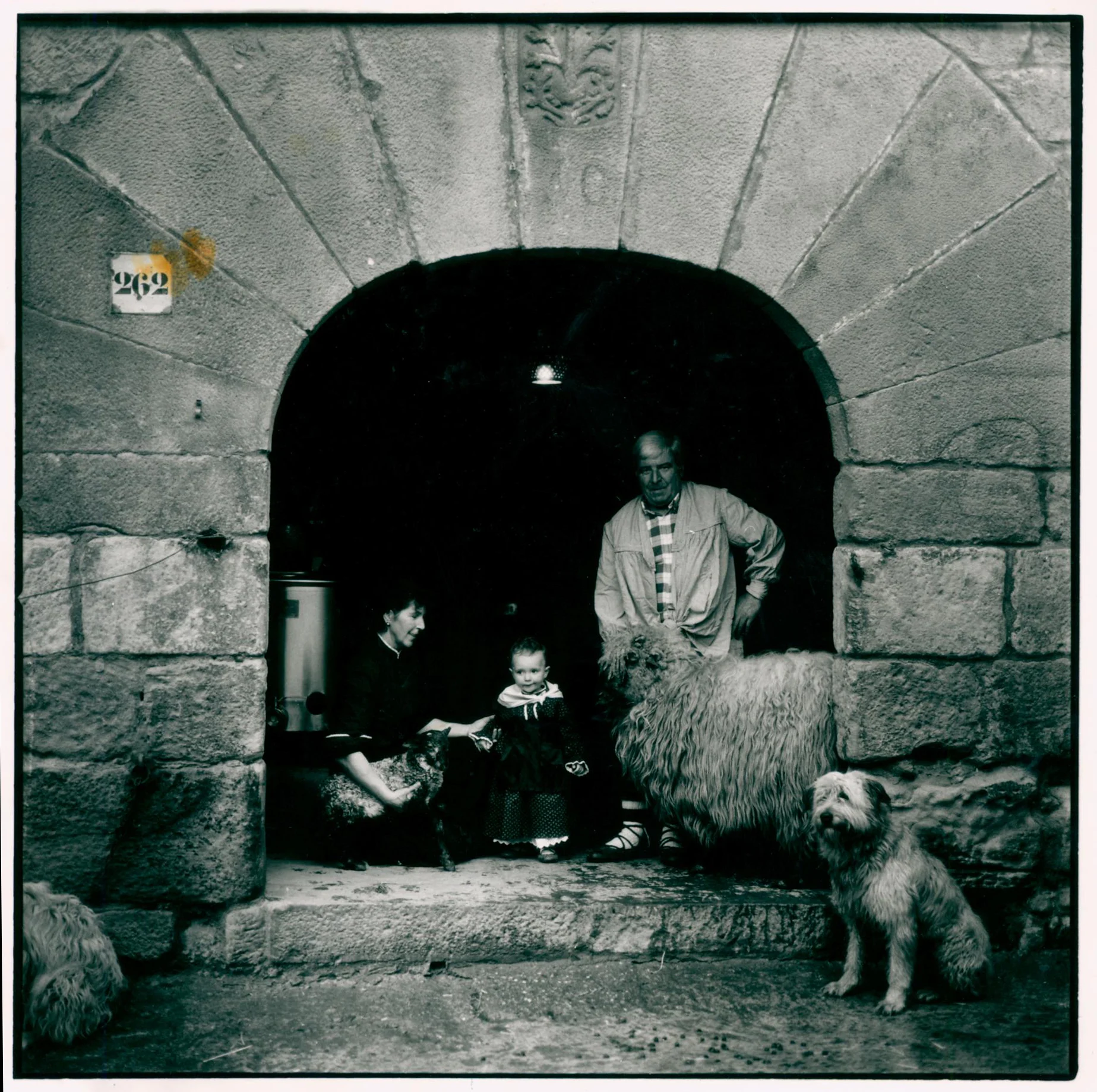 Empecé con las ovejas a los 8 años. Hacía de perro 0