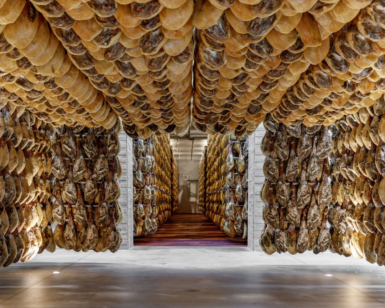 Monte Nevado: una década para construir un milagro ibérico 1