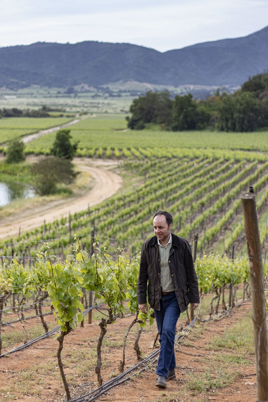 El valle chileno de Casablanca se renueva con tintos de clima frío 3
