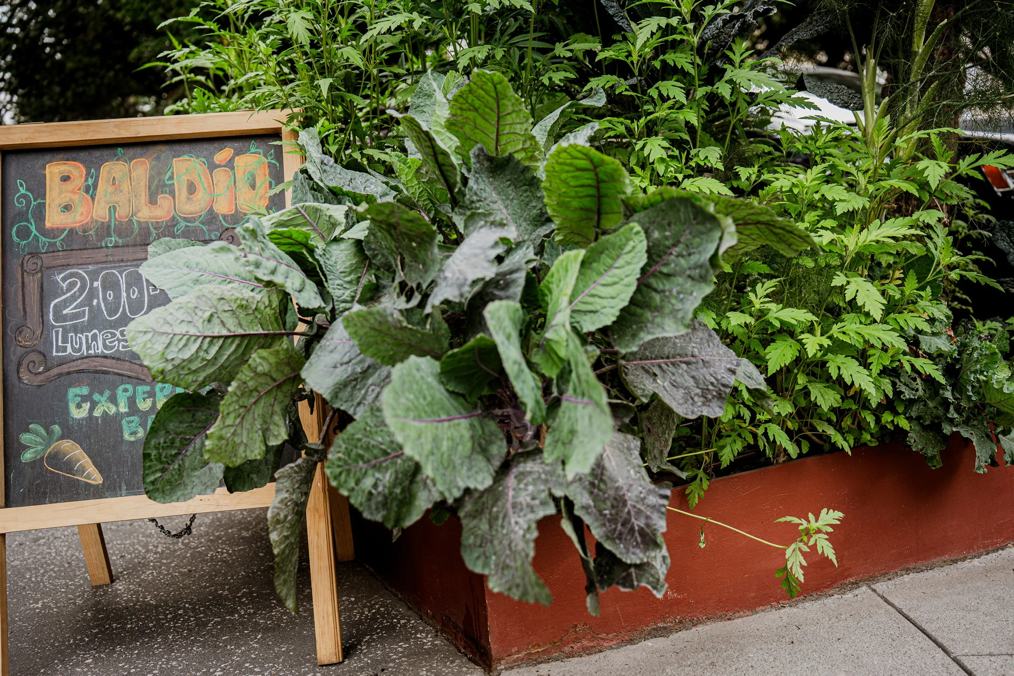 México, 2025: luces altas, motor encendido… ¿Hacia dónde vamos? 4