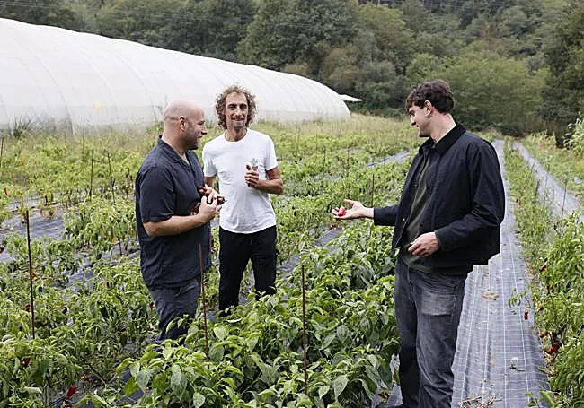 La taberna gourmet vizcaína que guisa la huerta de los vecinos 1