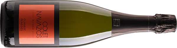 Brindis con burbujas para todos 2